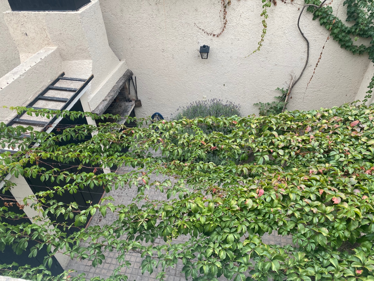 Duplex en Venta en Capital, Mendoza