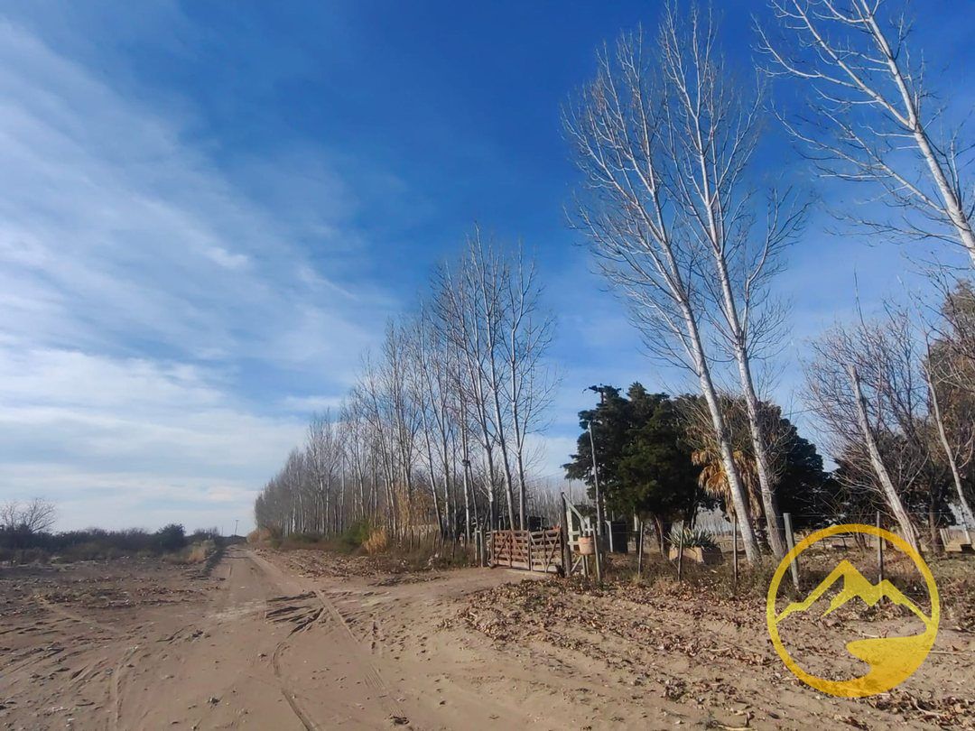 Finca en Venta en La Paz, Mendoza