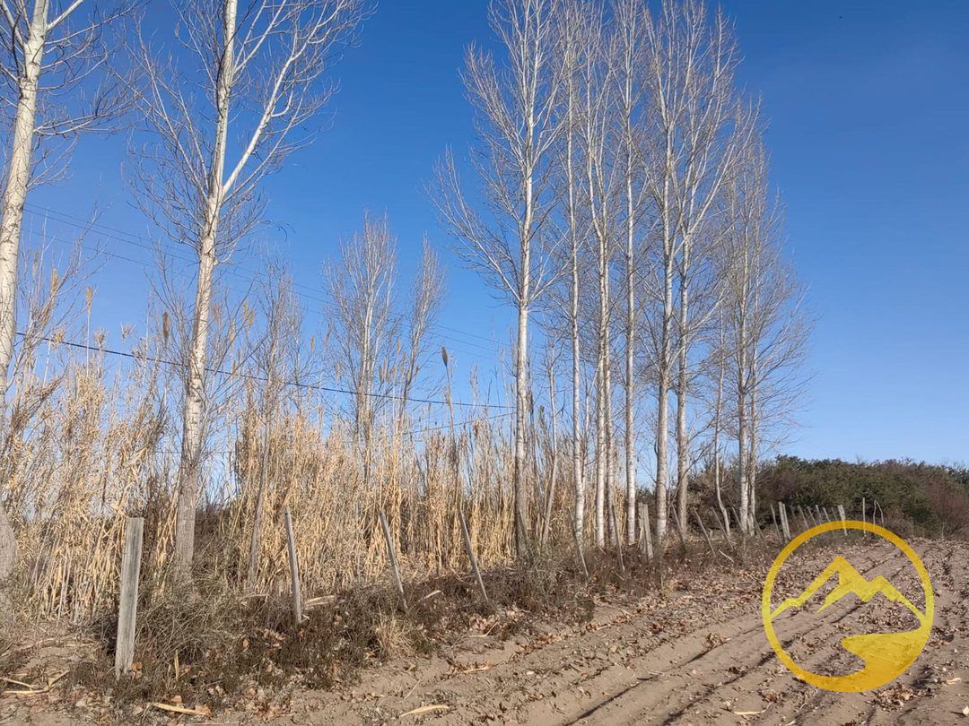 Finca en Venta en La Paz, Mendoza