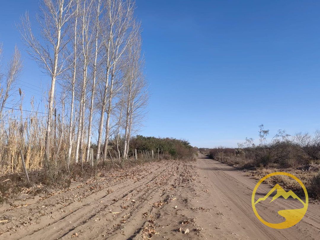 Finca en Venta en La Paz, Mendoza