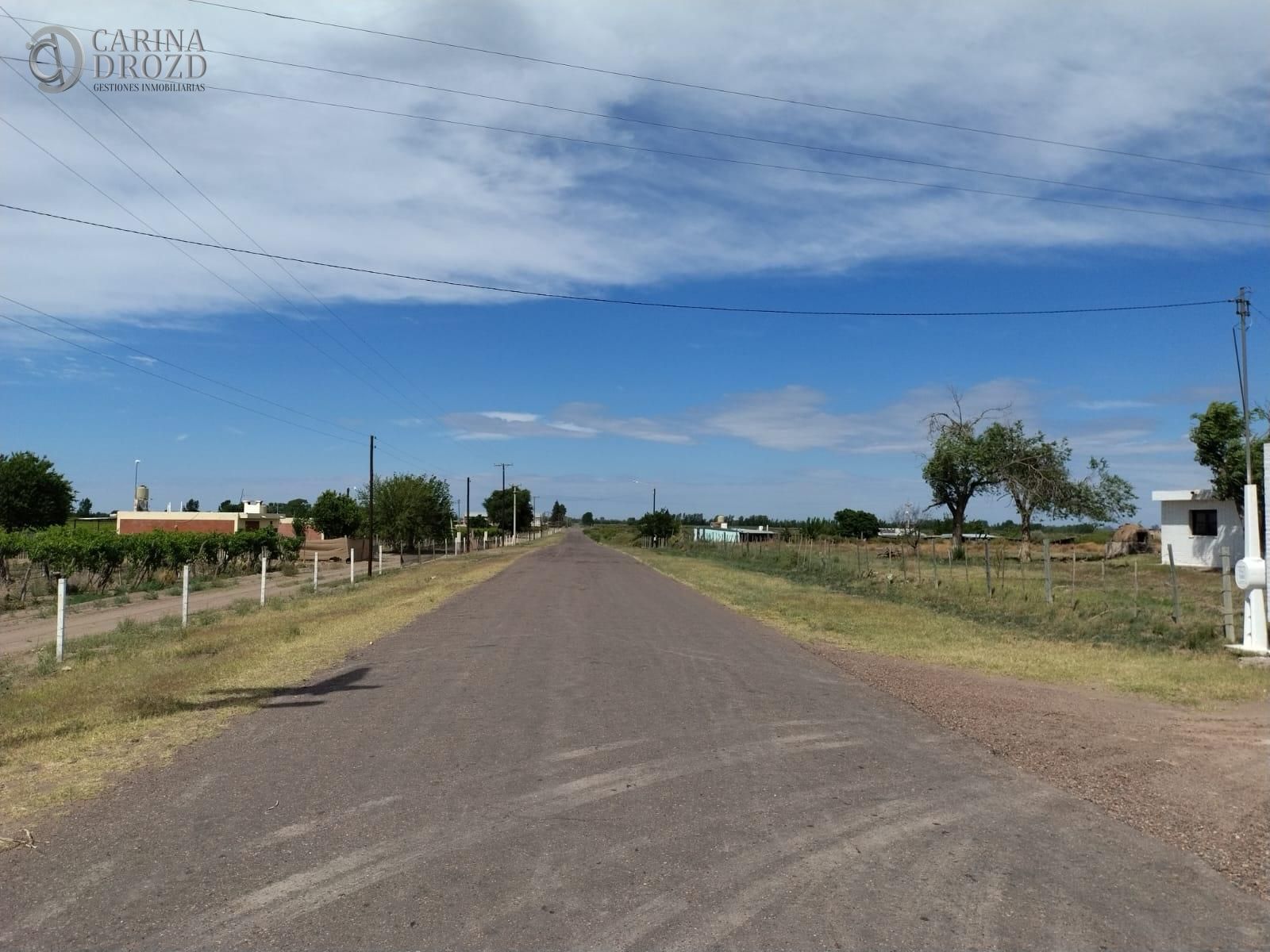 Imagen 7