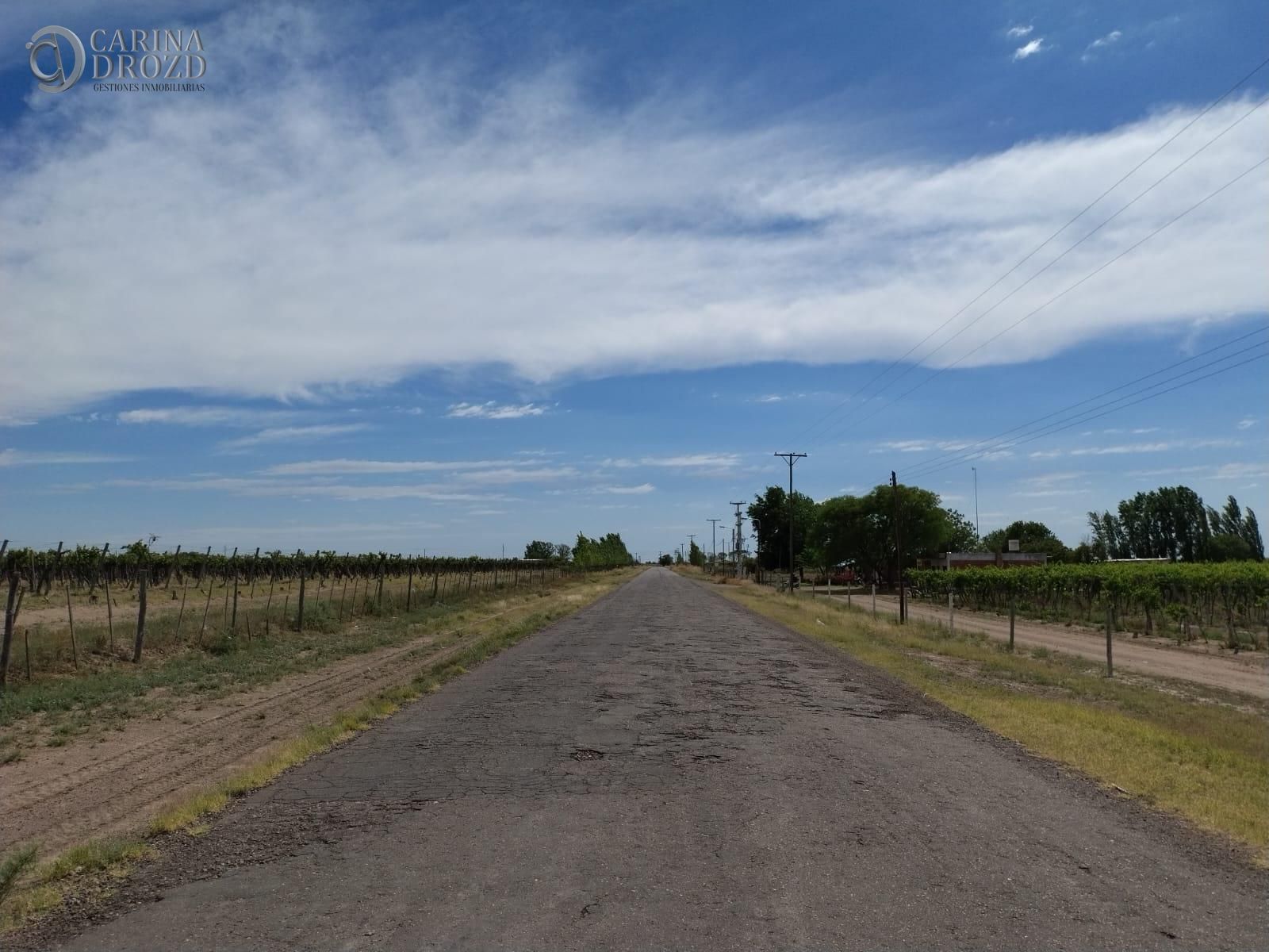 Imagen 8