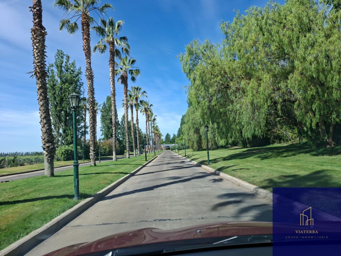 Terreno en Venta en Lujan de Cuyo, Mendoza