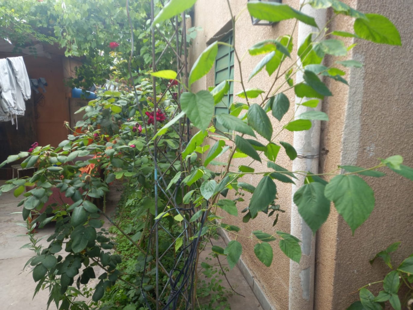 Casa en Venta en Guaymallen, Mendoza