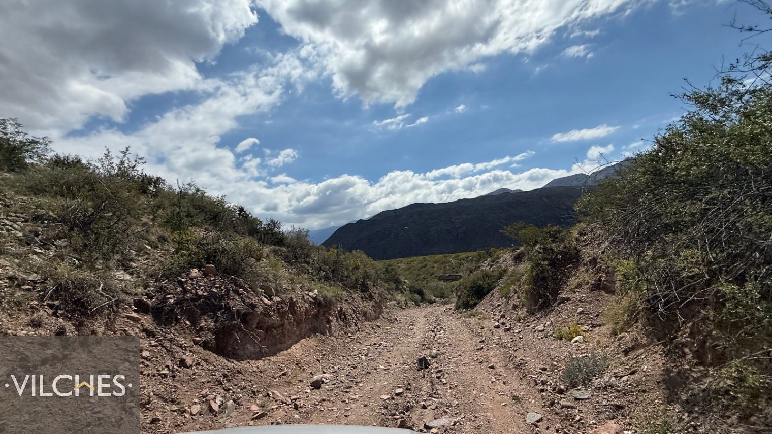 Terreno en Venta en Lujan de Cuyo, Mendoza