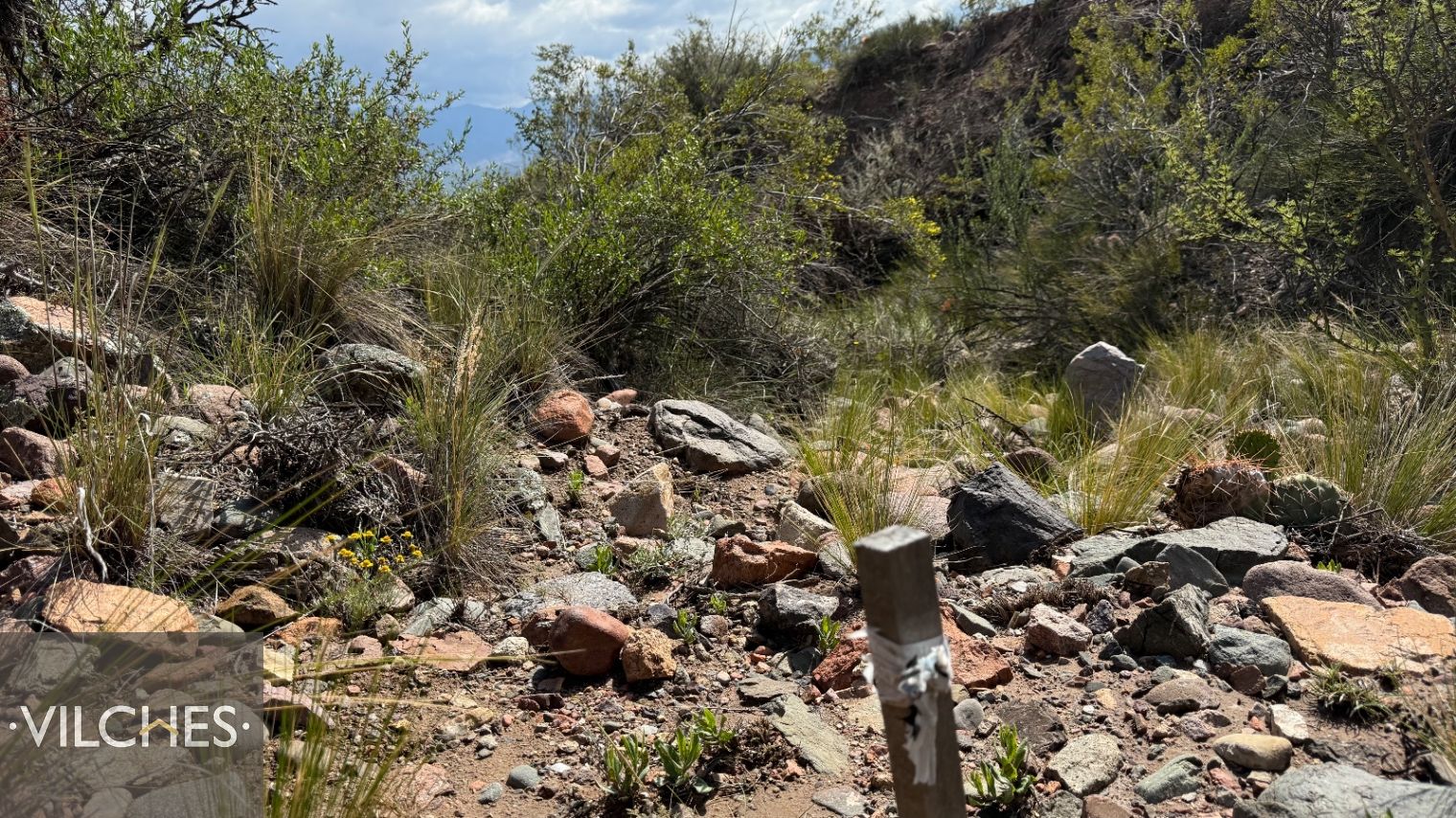 Terreno en Venta en Lujan de Cuyo, Mendoza
