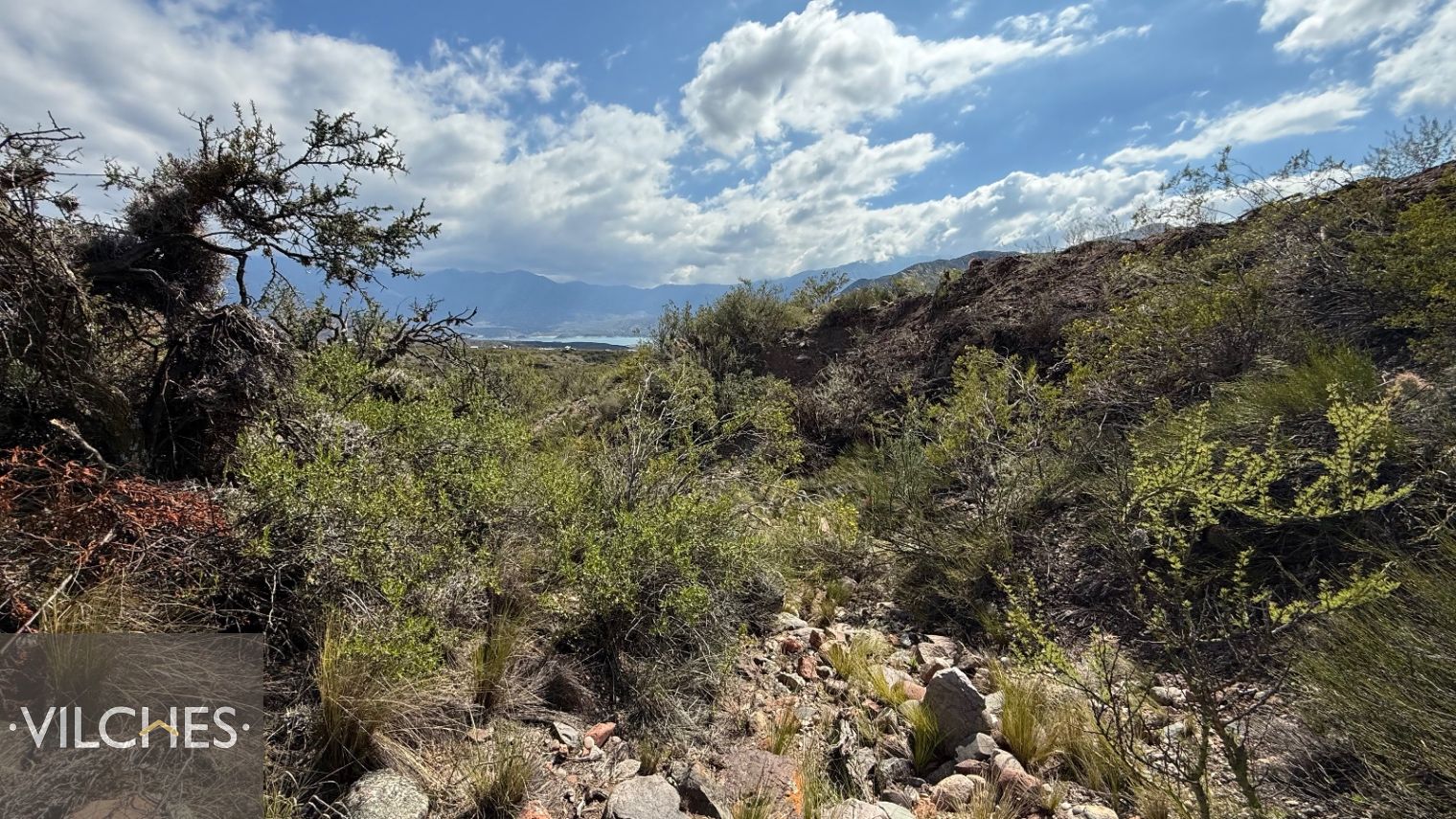 Terreno en Venta en Lujan de Cuyo, Mendoza