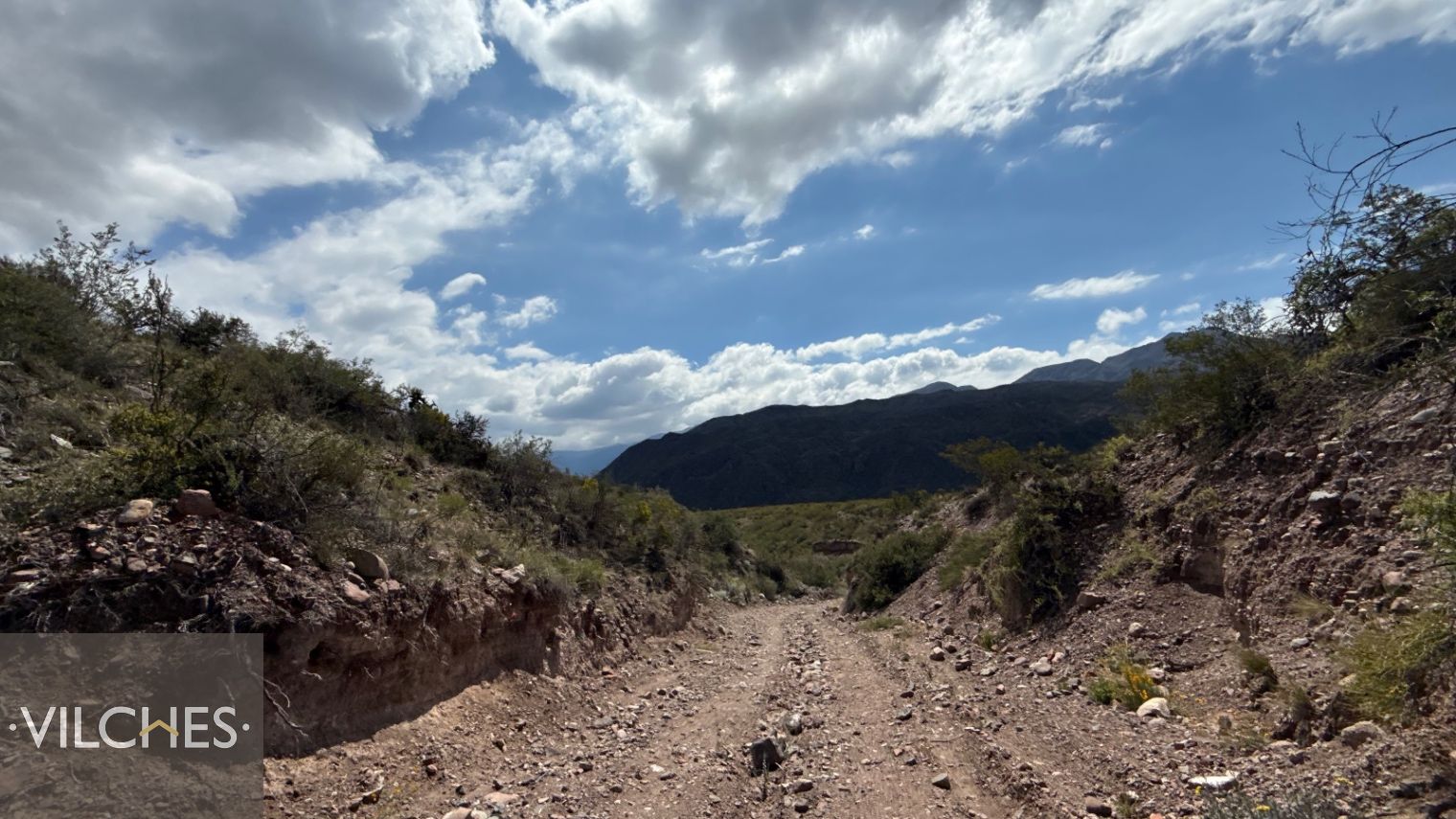 Terreno en Venta en Lujan de Cuyo, Mendoza