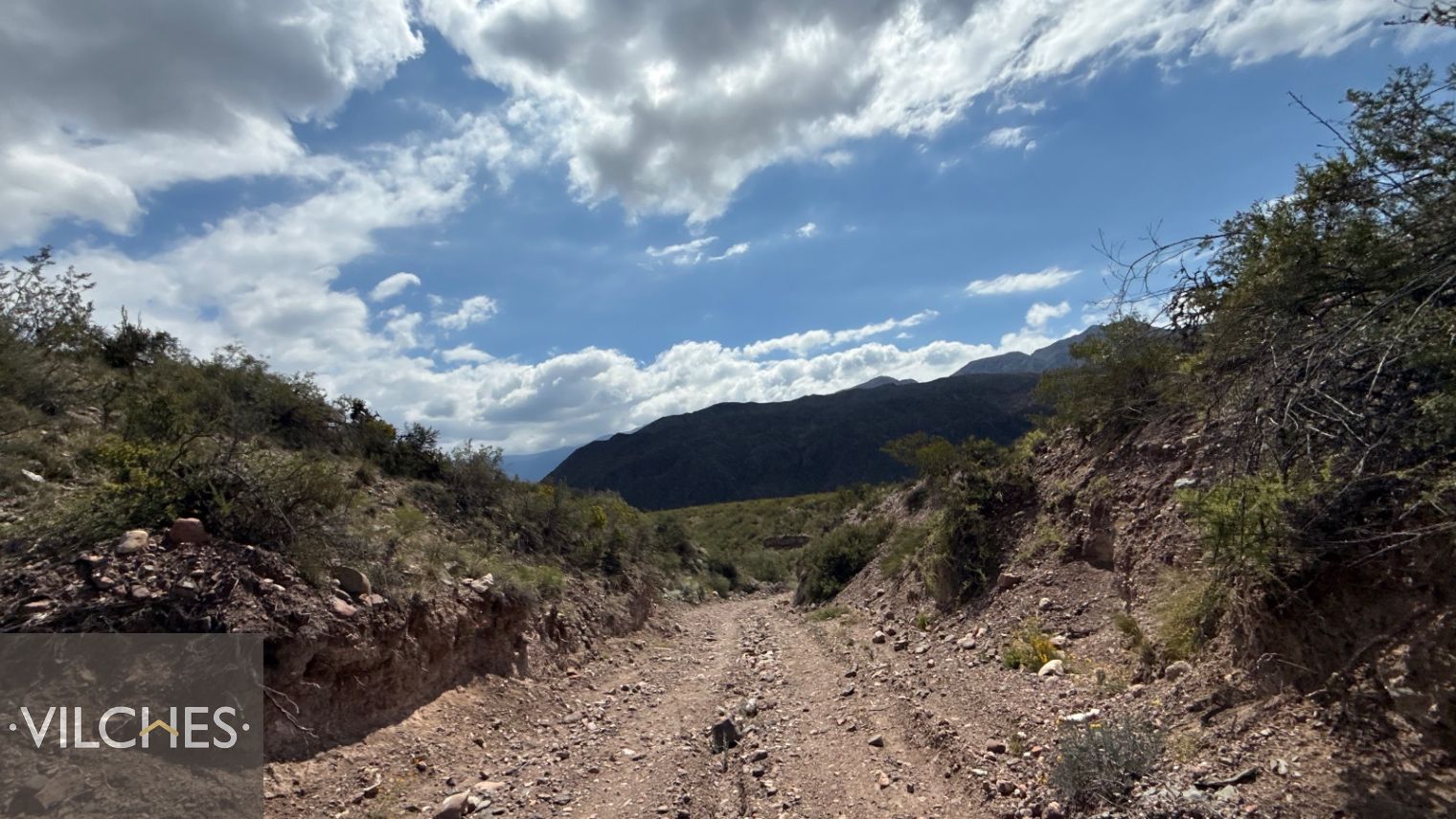 Terreno en Venta en Lujan de Cuyo, Mendoza