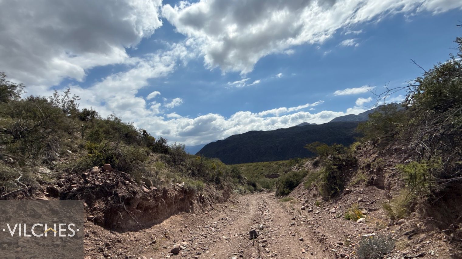 Terreno en Venta en Lujan de Cuyo, Mendoza
