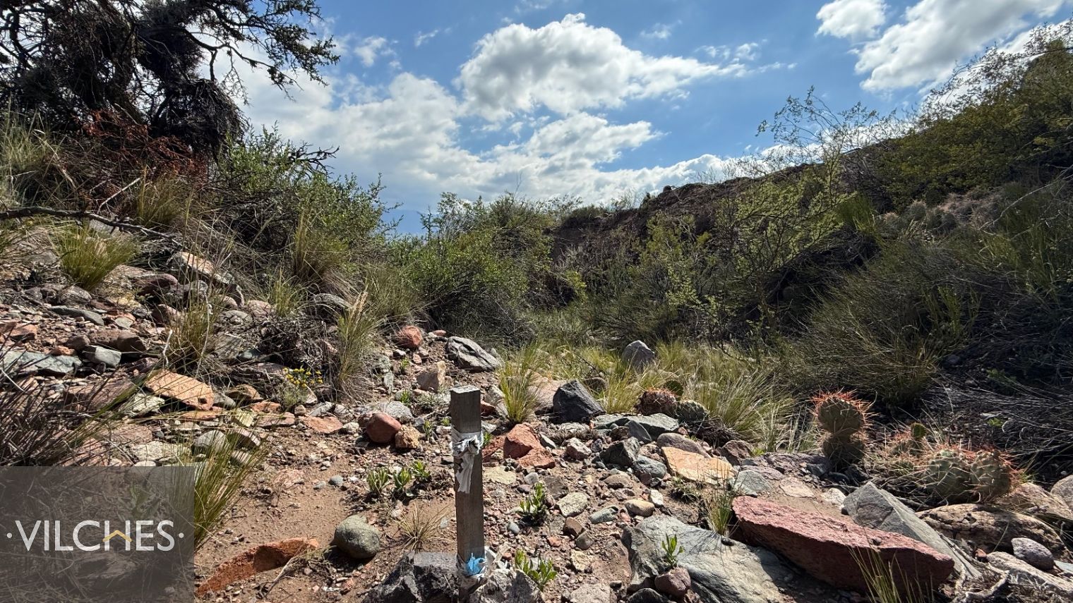 Terreno en Venta en Lujan de Cuyo, Mendoza
