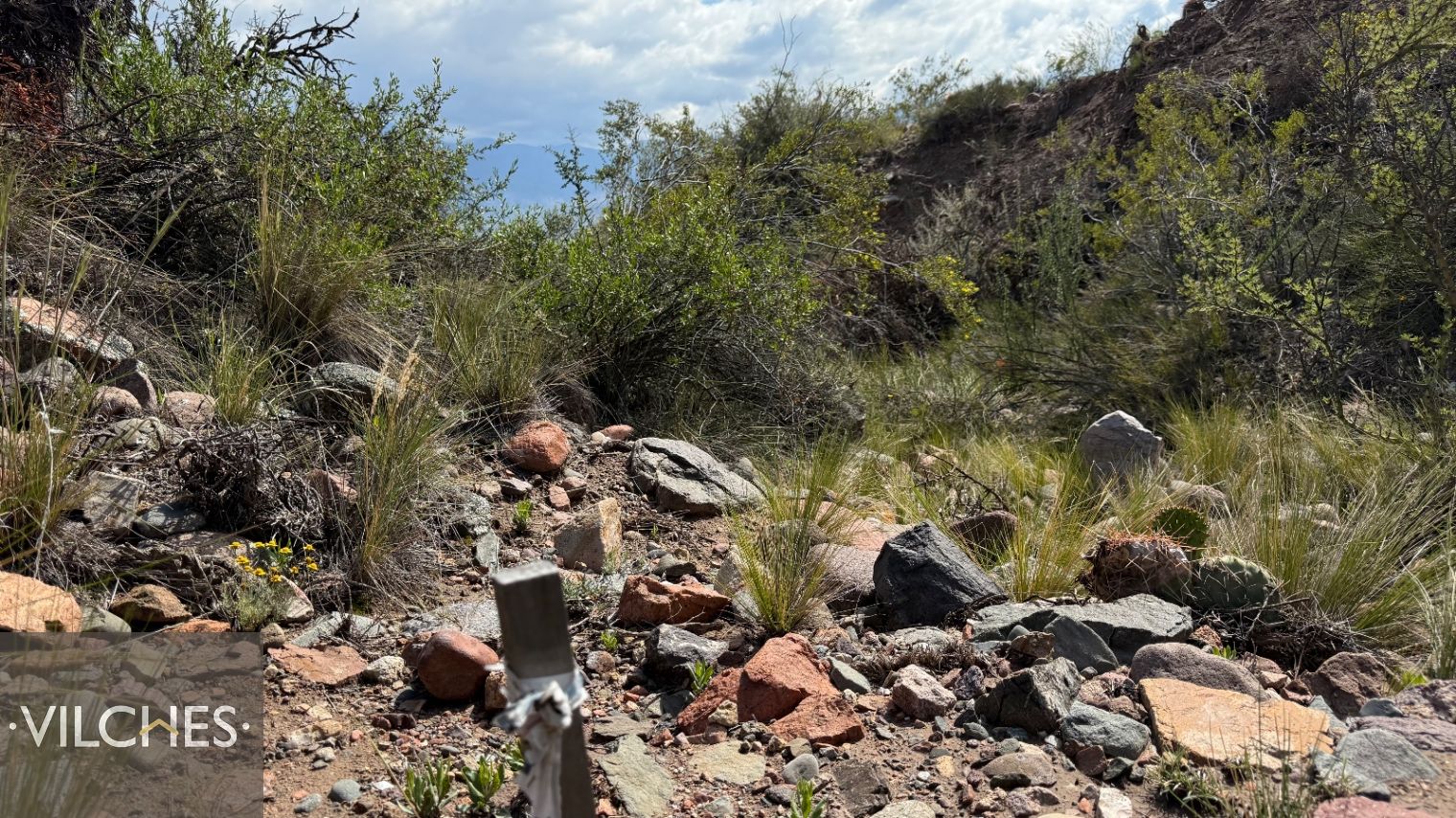Terreno en Venta en Lujan de Cuyo, Mendoza