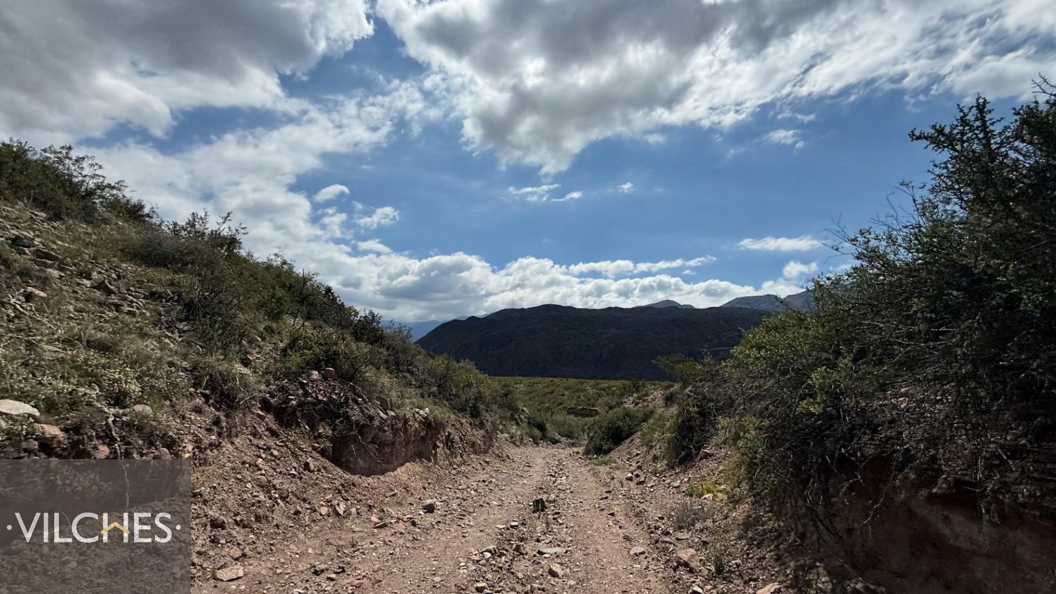 Terreno en Venta en Lujan de Cuyo, Mendoza