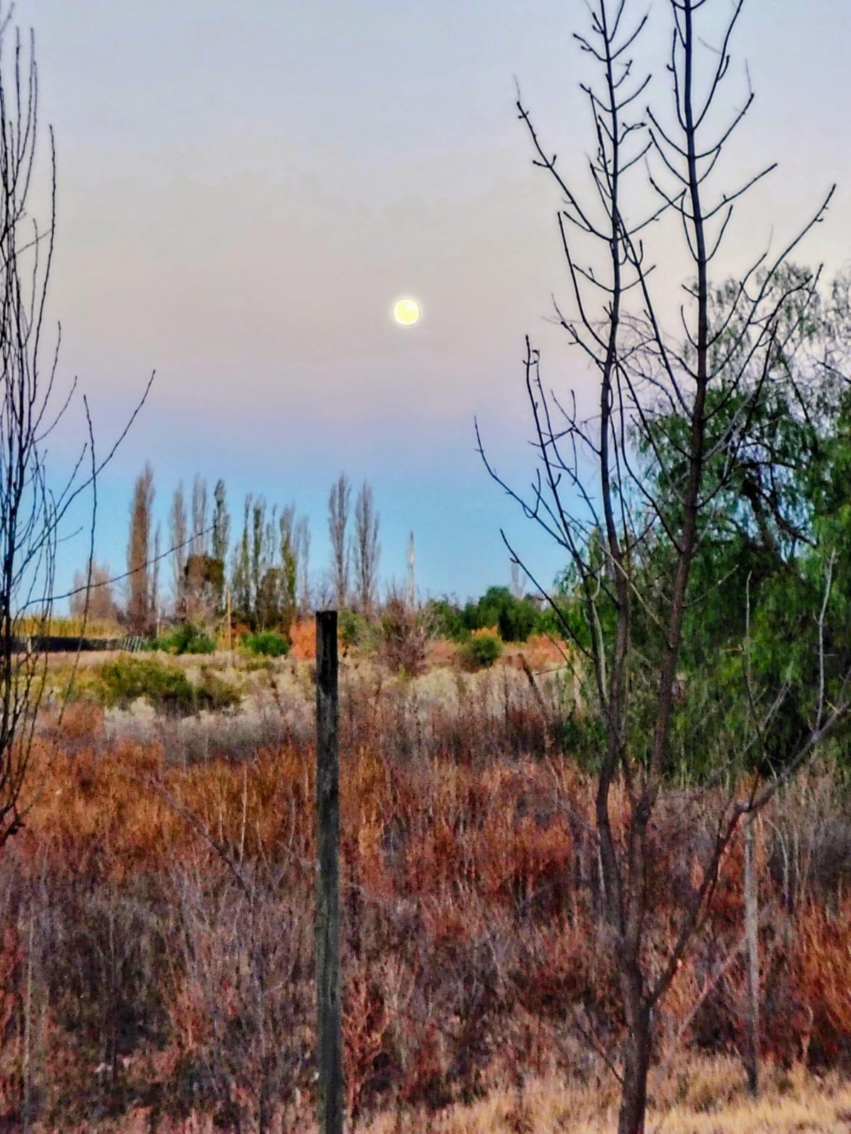 Finca en Venta en San Rafael, Mendoza