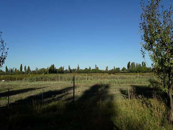 Finca en Venta en San Rafael, Mendoza