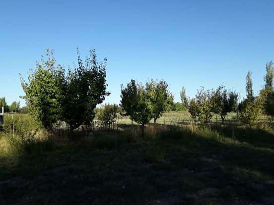Finca en Venta en San Rafael, Mendoza