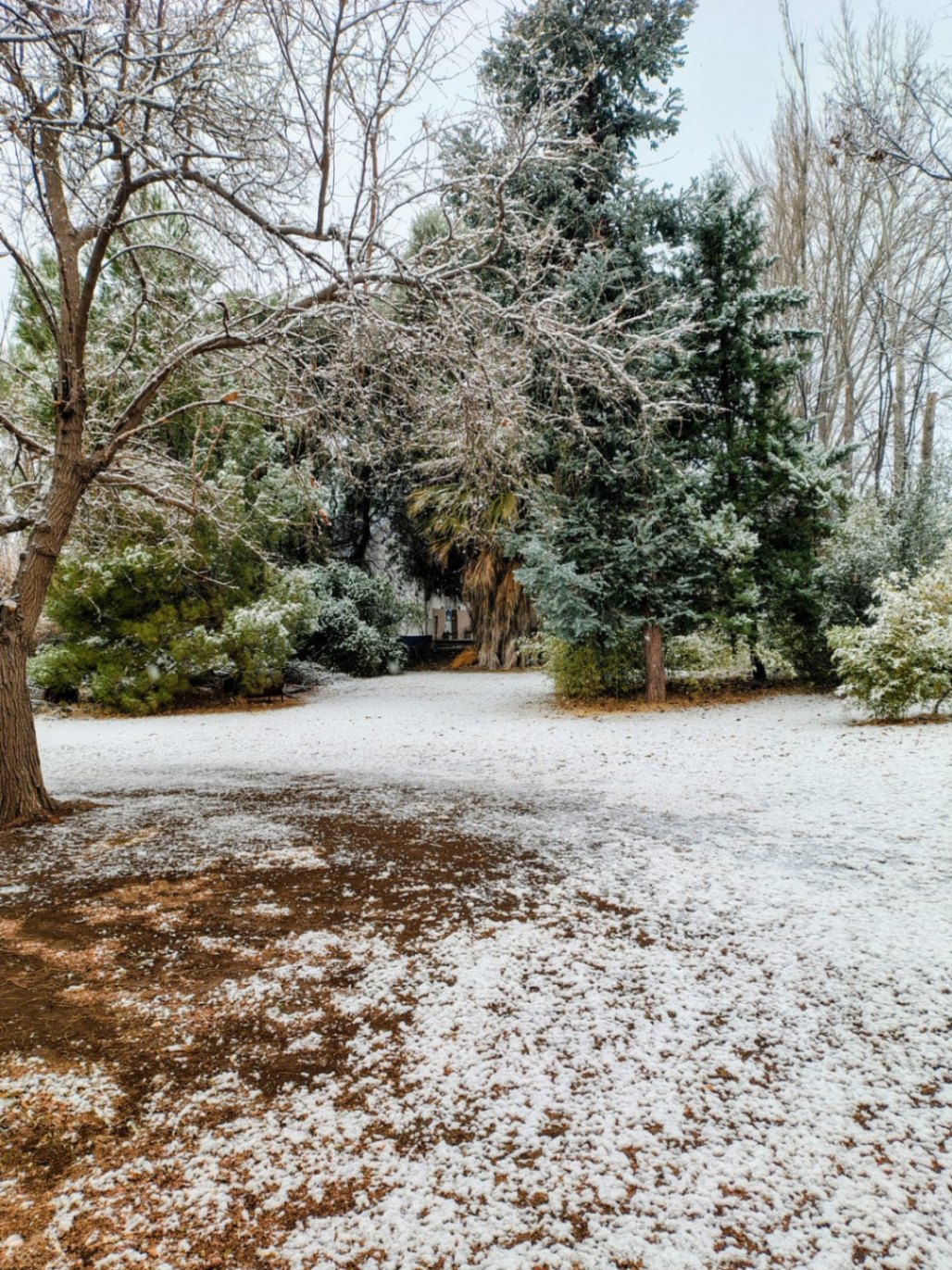 Finca en Venta en San Rafael, Mendoza