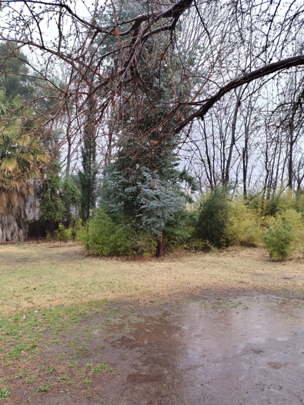 Finca en Venta en San Rafael, Mendoza