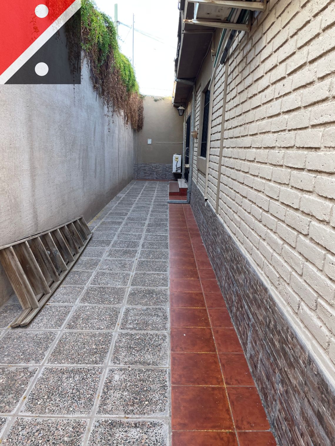 Imagen 23