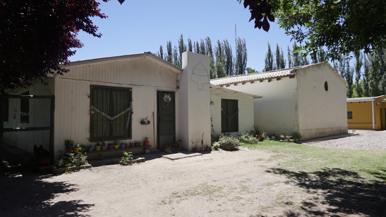 Tunuyan Lencinas Vista Flores