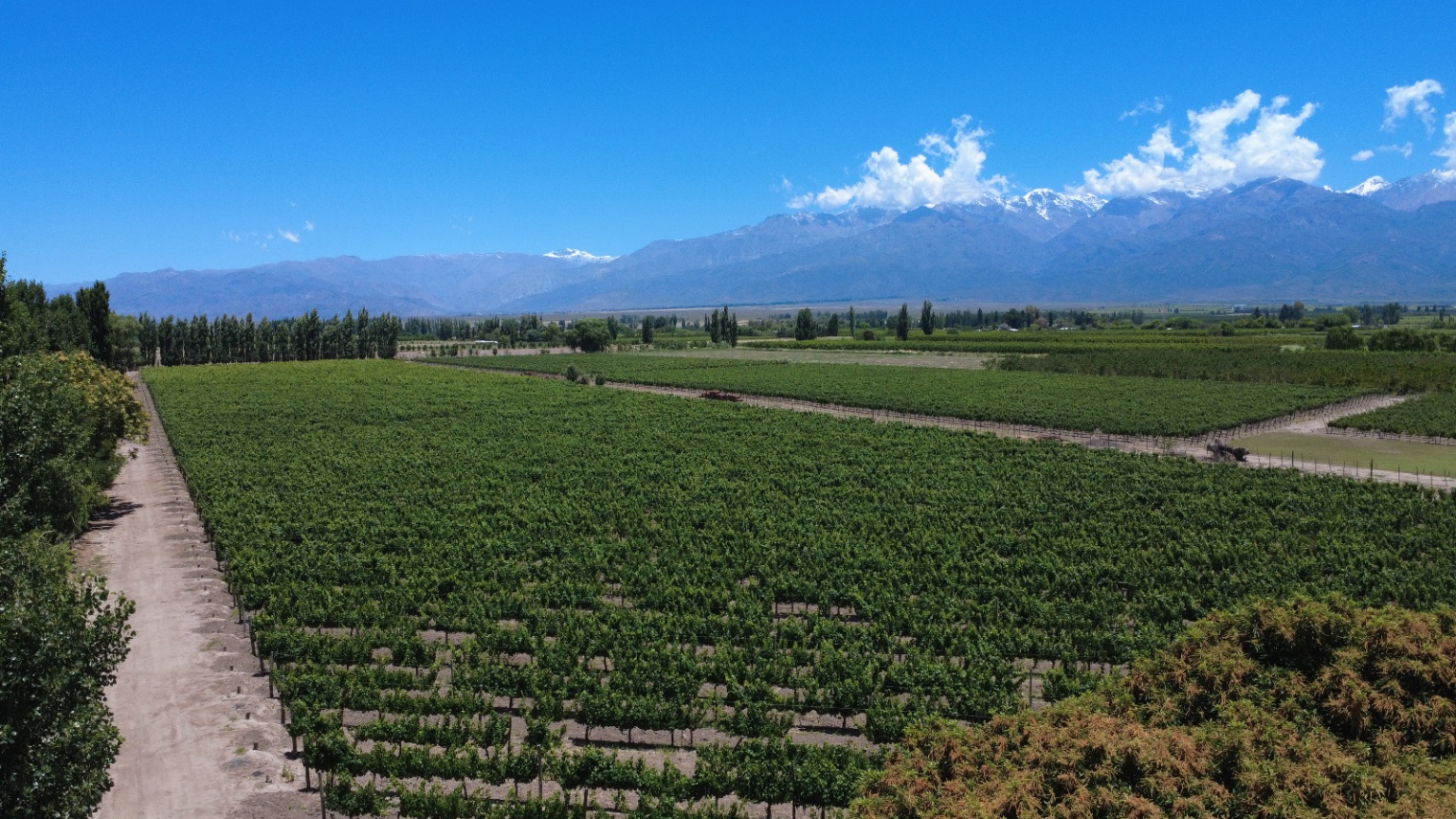 Chalet en Venta en Tunuyan, Mendoza