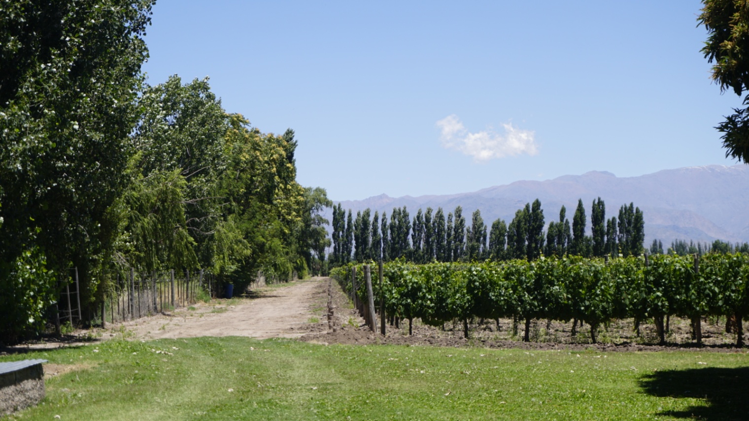 Chalet en Venta en Tunuyan, Mendoza