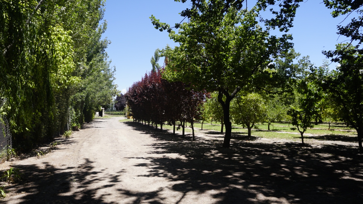 Chalet en Venta en Tunuyan, Mendoza