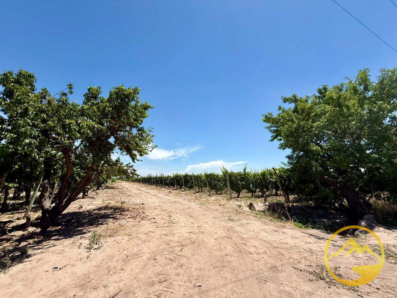 Terreno en Venta en San Martin, Mendoza