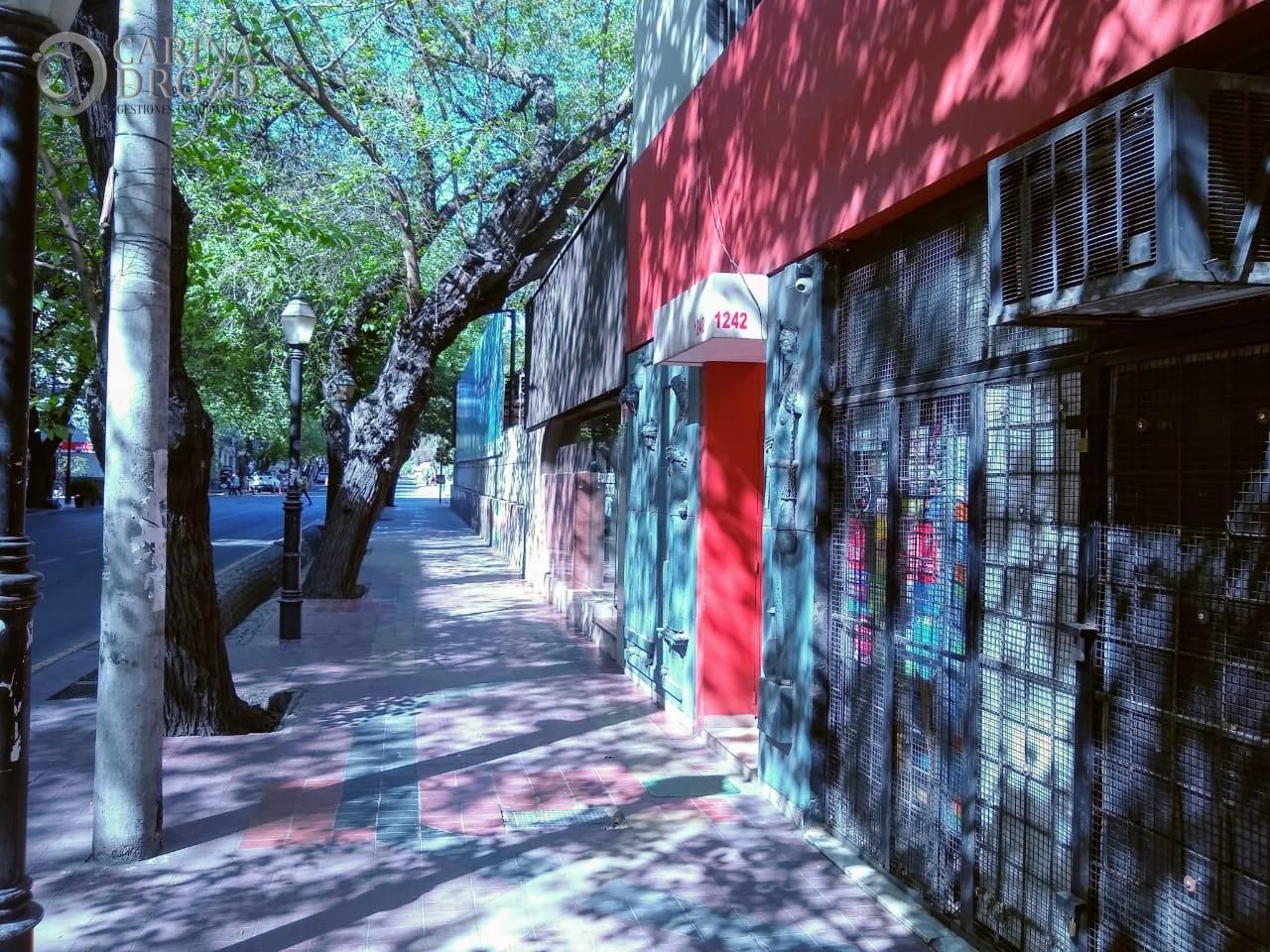 Imagen 4