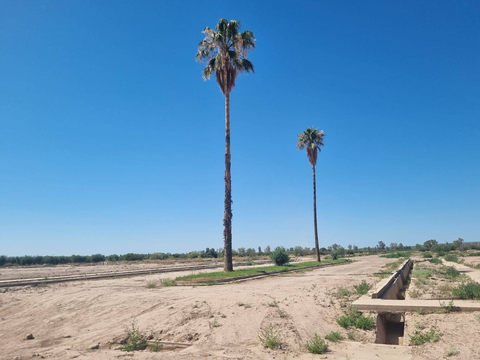 Terreno en Venta en Maipu, Mendoza