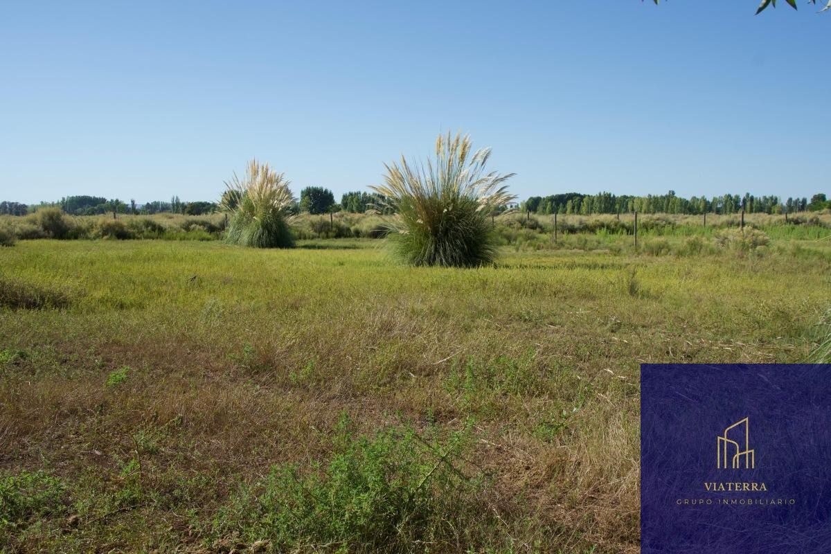 Terreno en Venta en Tunuyan, Mendoza