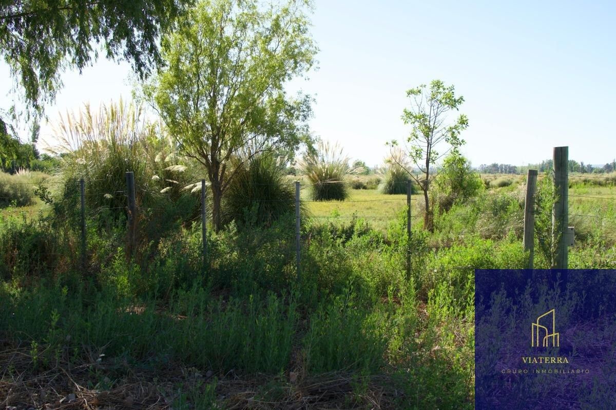 Terreno en Venta en Tunuyan, Mendoza