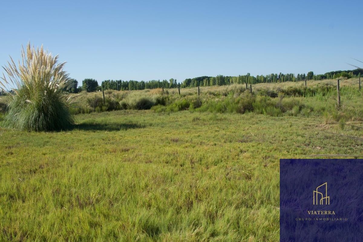 Terreno en Venta en Tunuyan, Mendoza