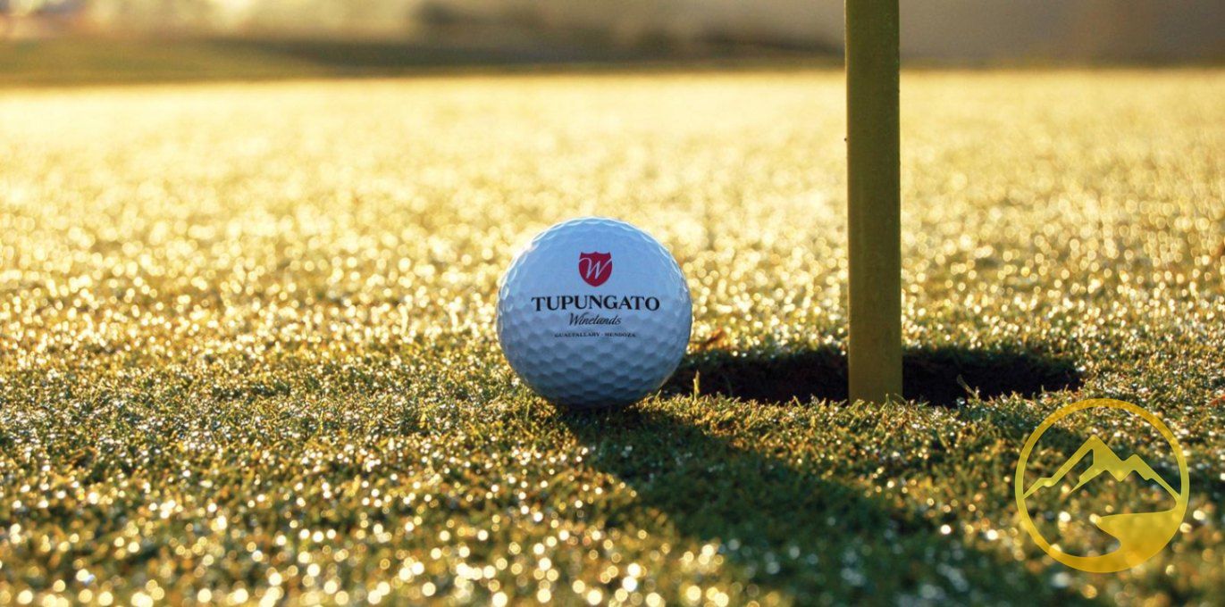 Terreno en Venta en Tupungato, Mendoza