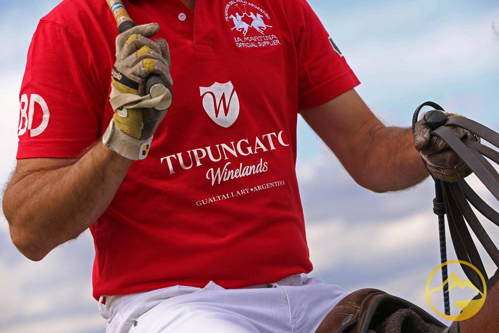 Terreno en Venta en Tupungato, Mendoza