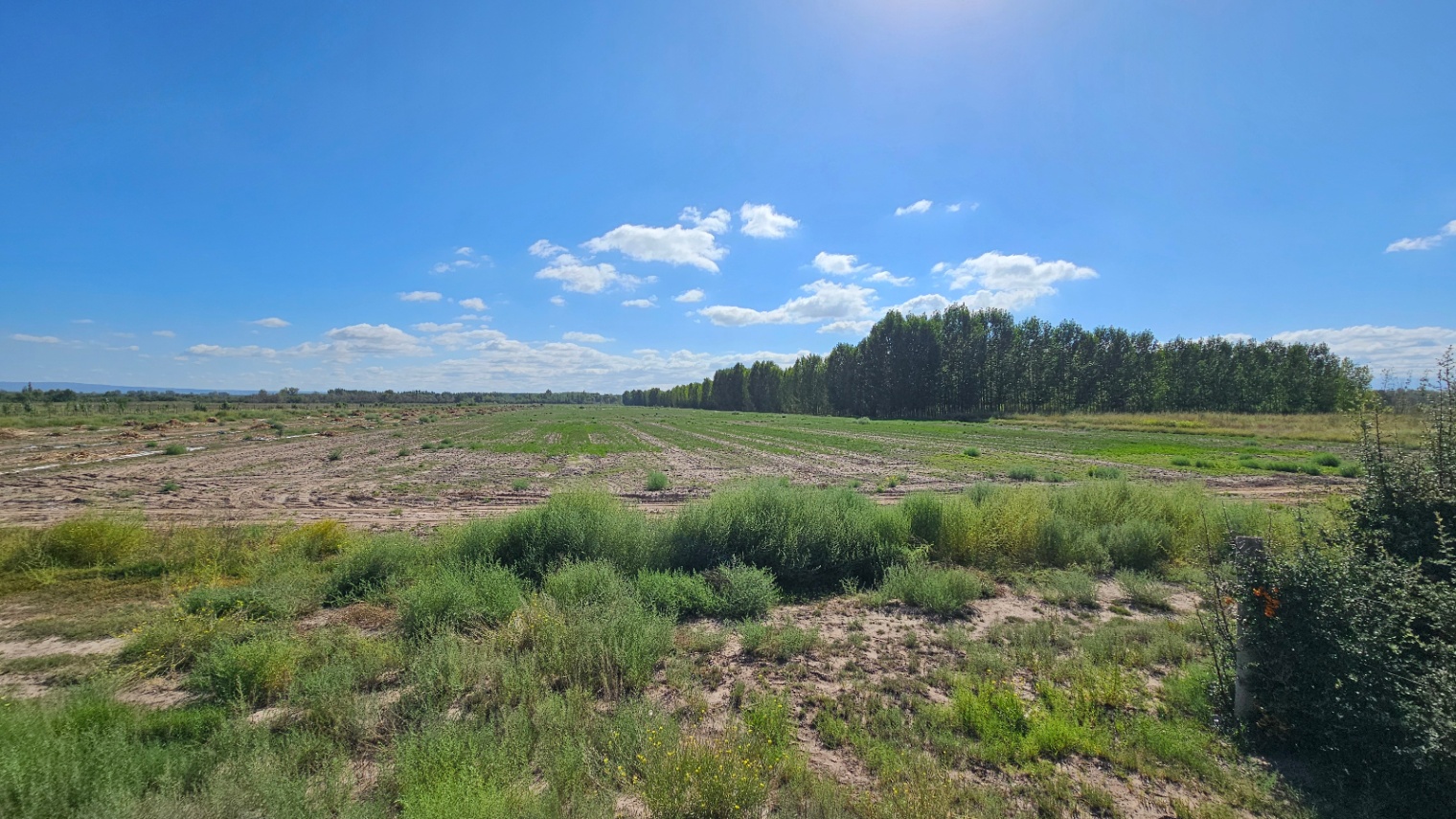 Finca en Venta en Tunuyan, Mendoza