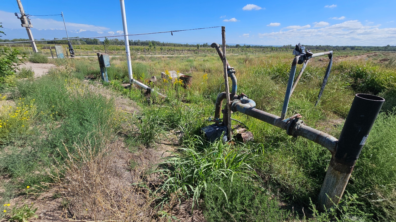 Finca en Venta en Tunuyan, Mendoza