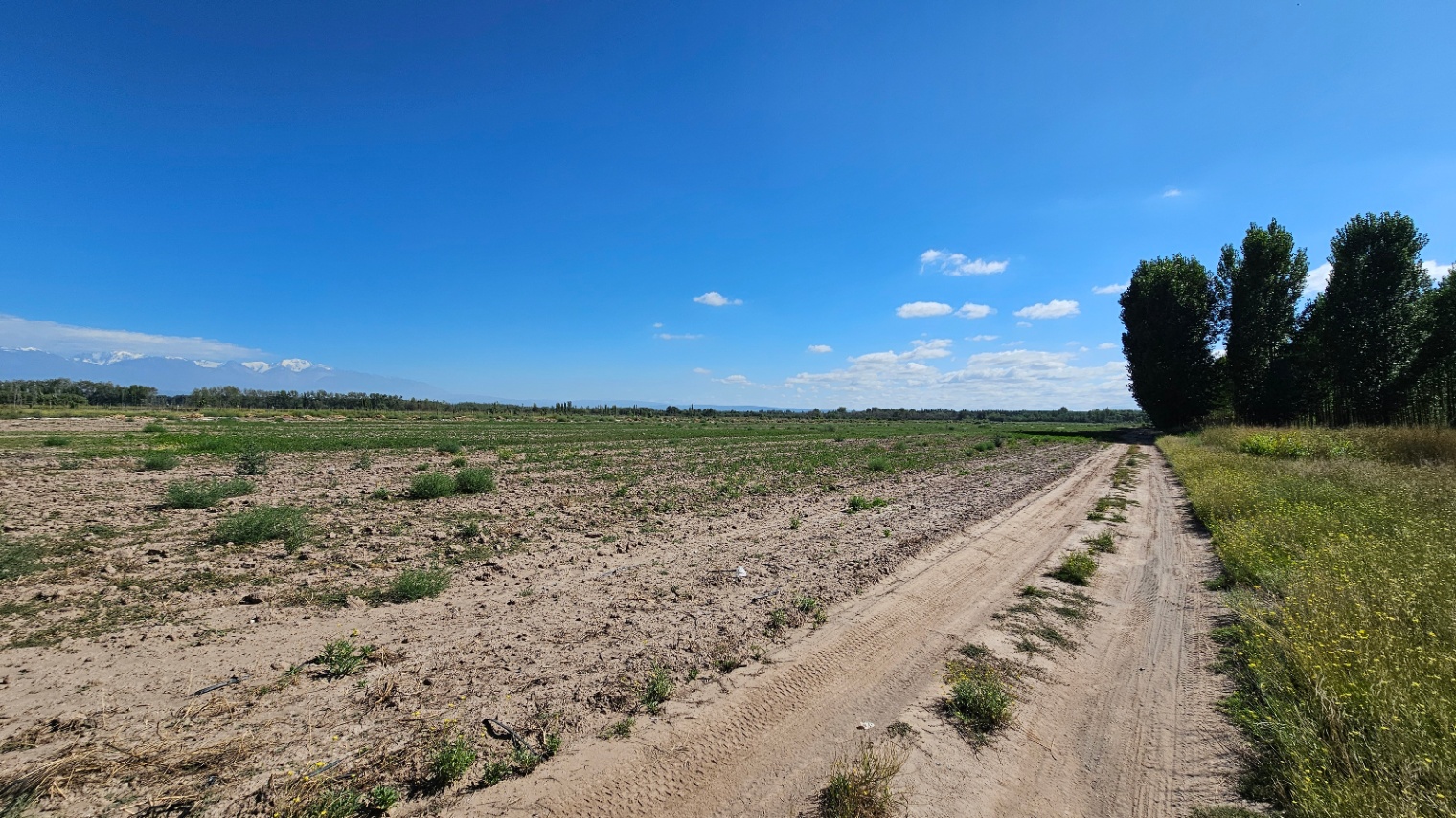 Finca en Venta en Tunuyan, Mendoza