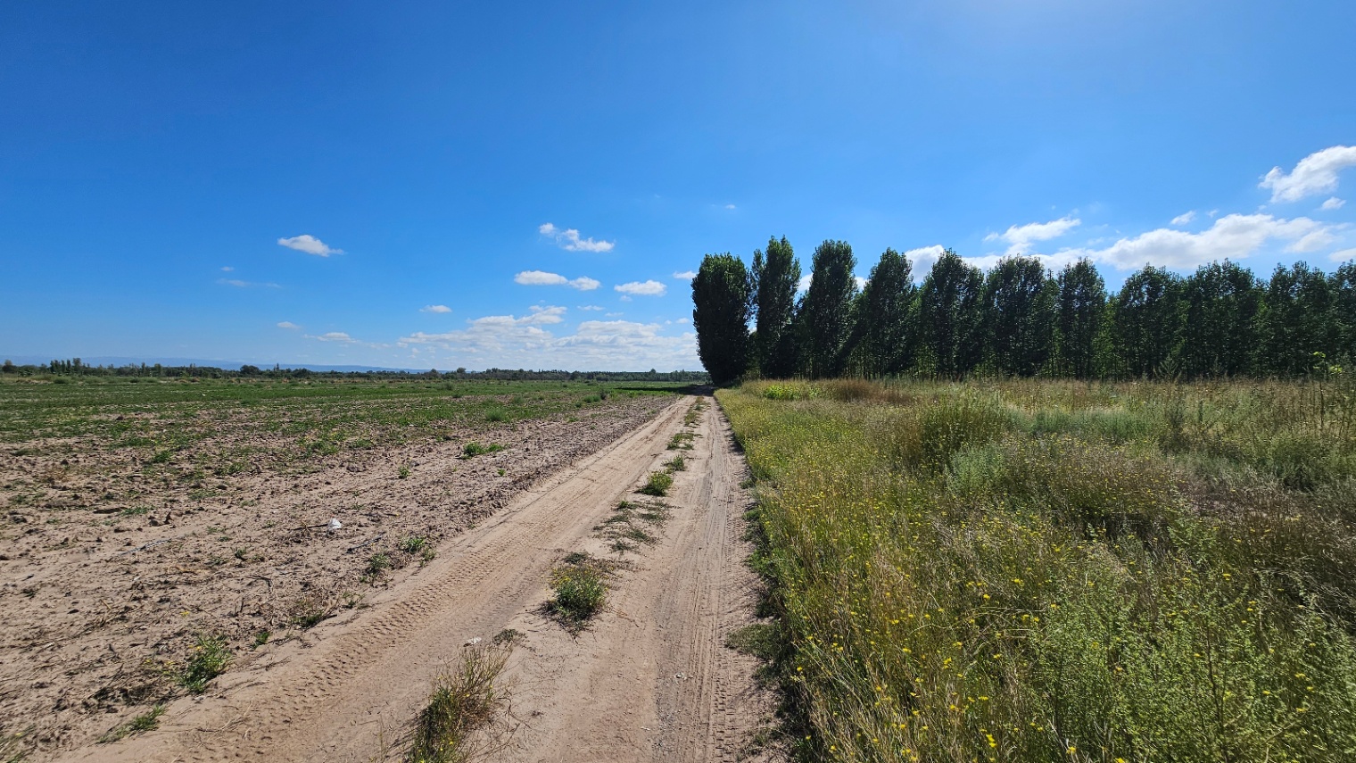 Finca en Venta en Tunuyan, Mendoza