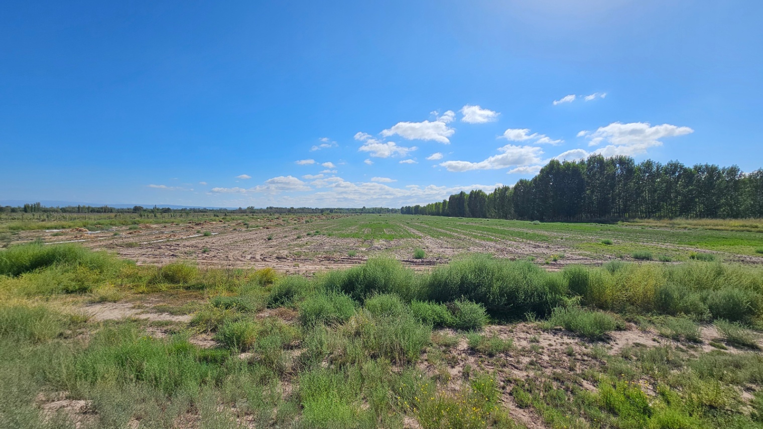 Finca en Venta en Tunuyan, Mendoza