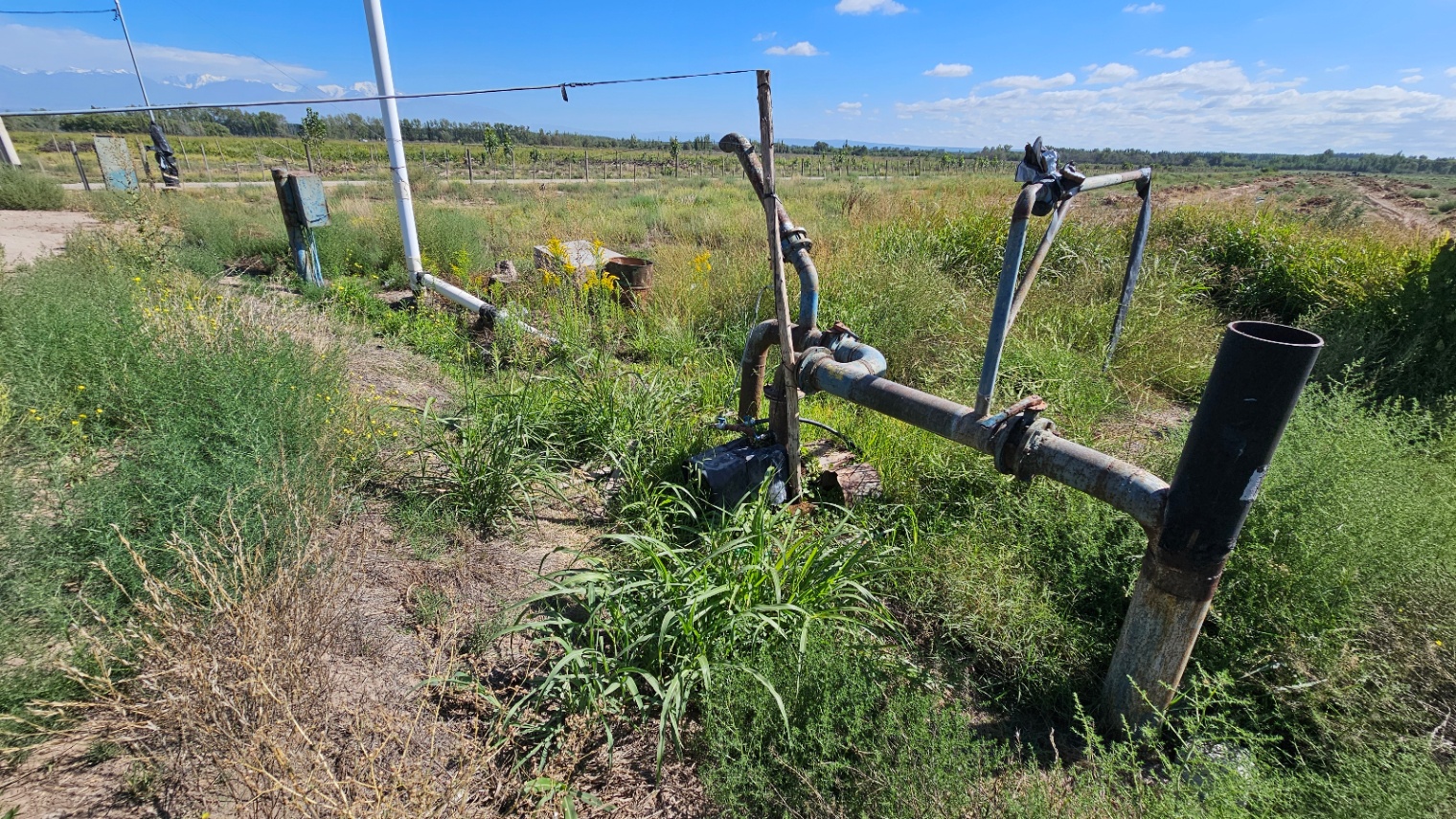 Finca en Venta en Tunuyan, Mendoza