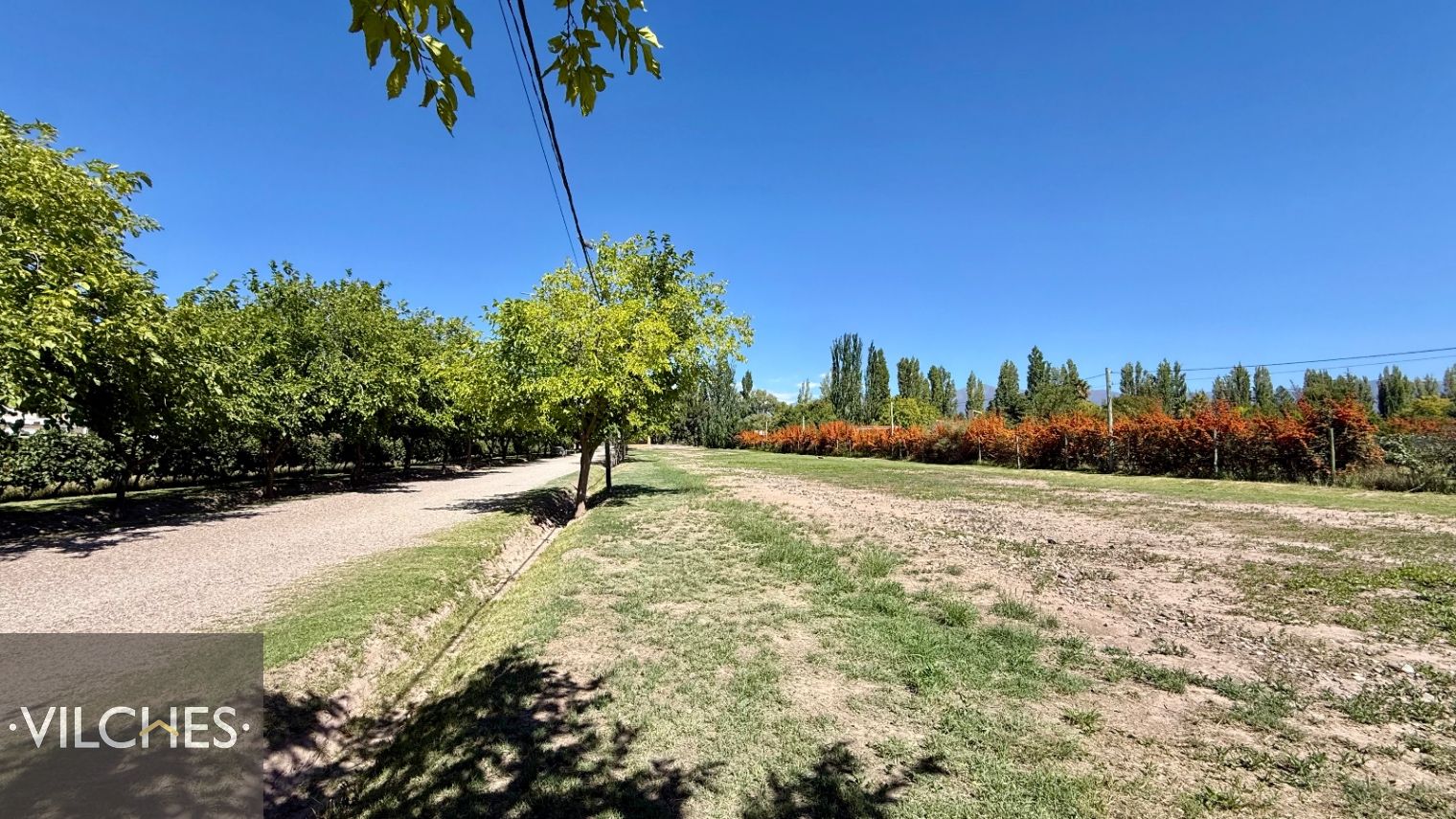 Terreno en Venta en Lujan de Cuyo, Mendoza