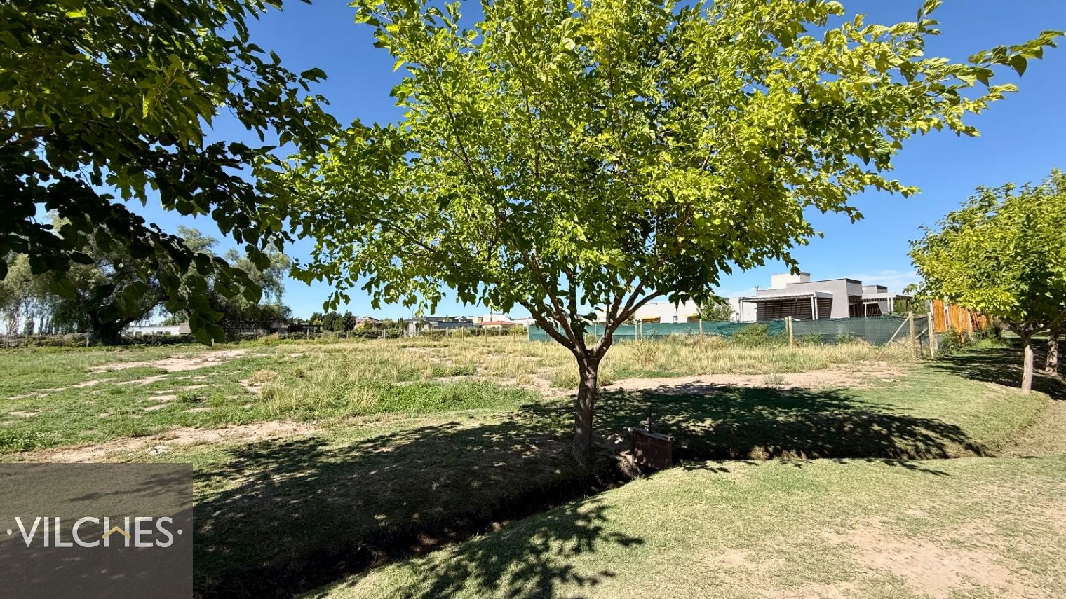 Terreno en Venta en Lujan de Cuyo, Mendoza