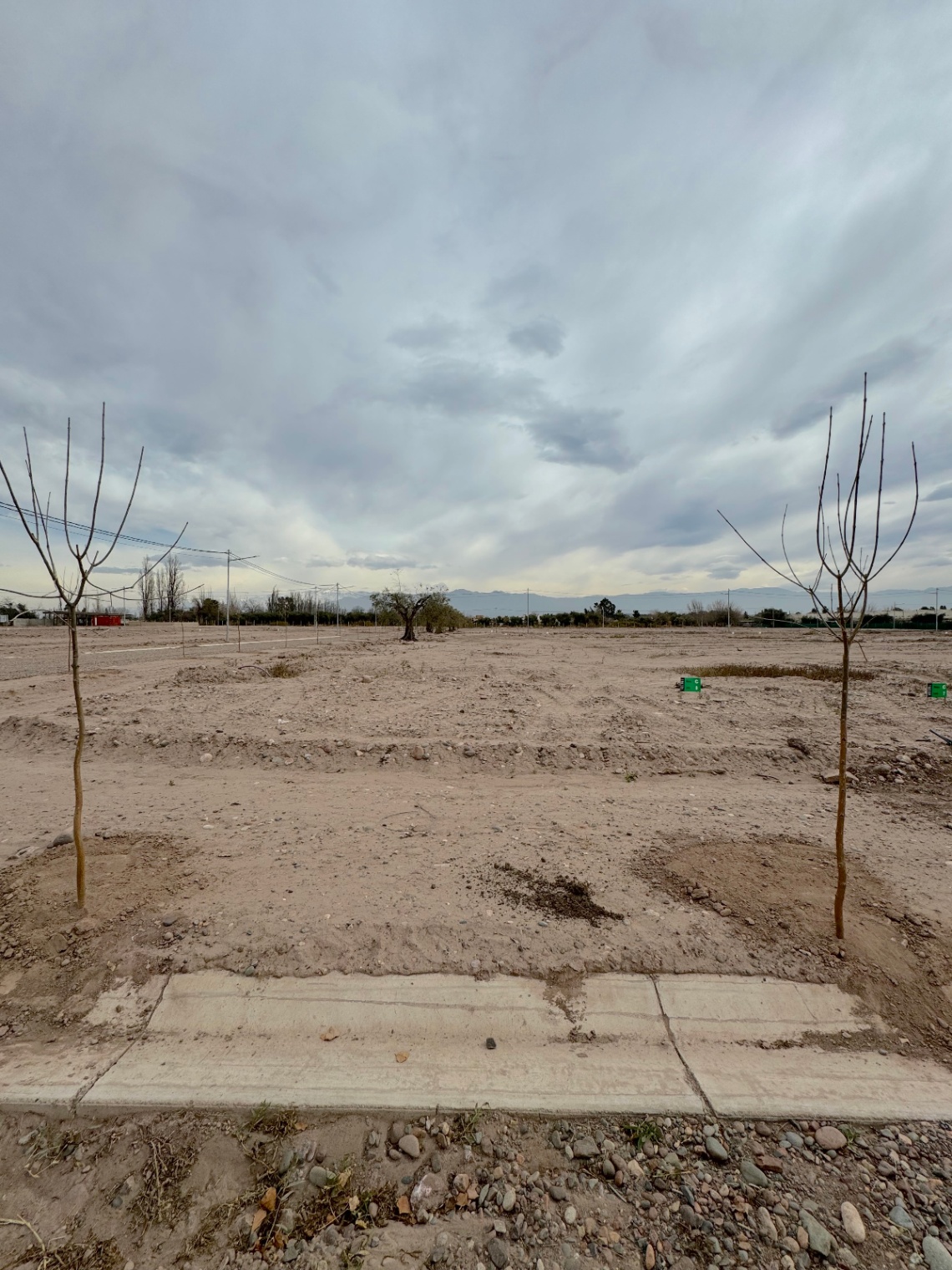 Terreno en Venta en Lujan de Cuyo, Mendoza