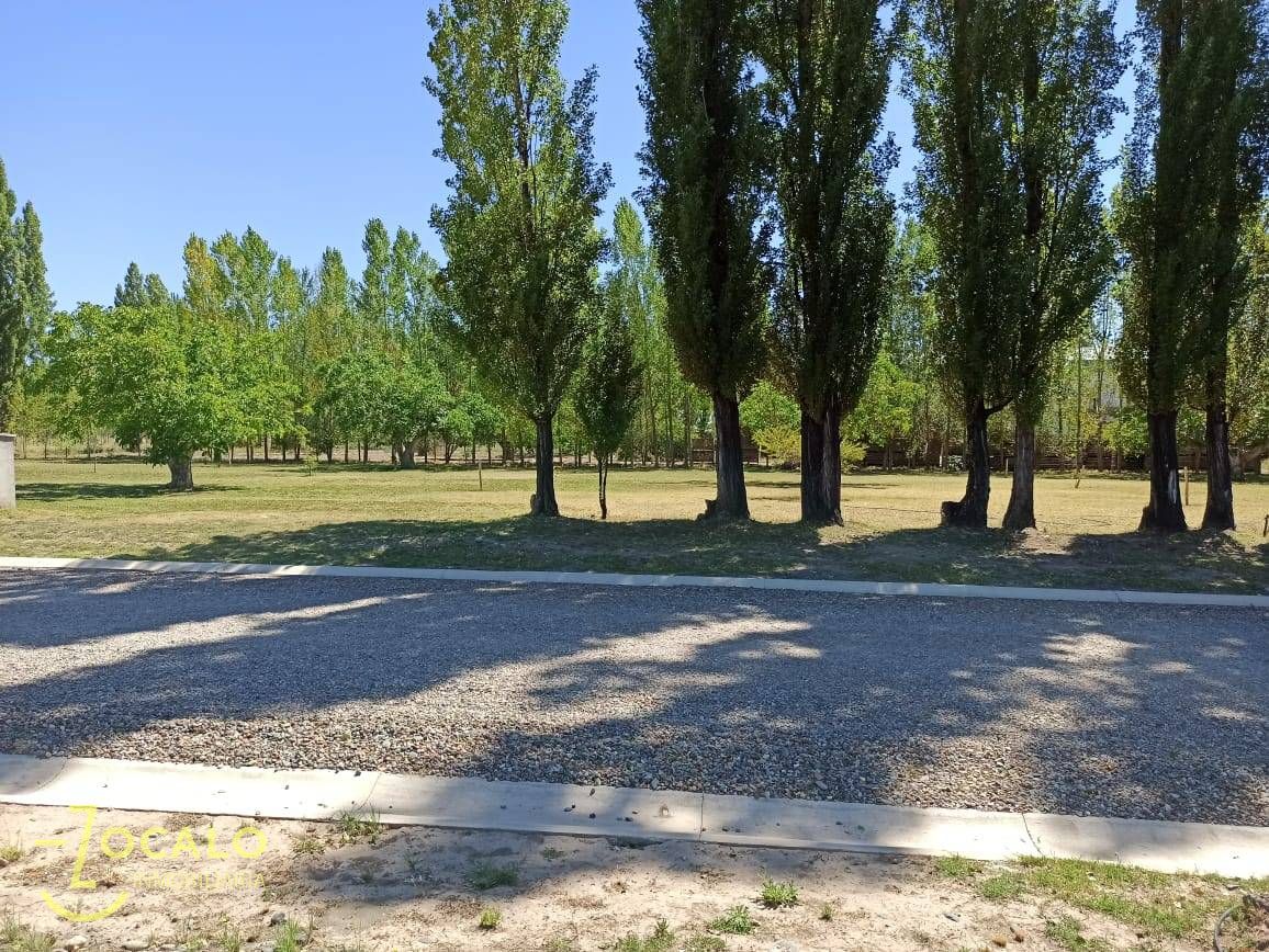 Terreno en Venta en Tupungato, Mendoza