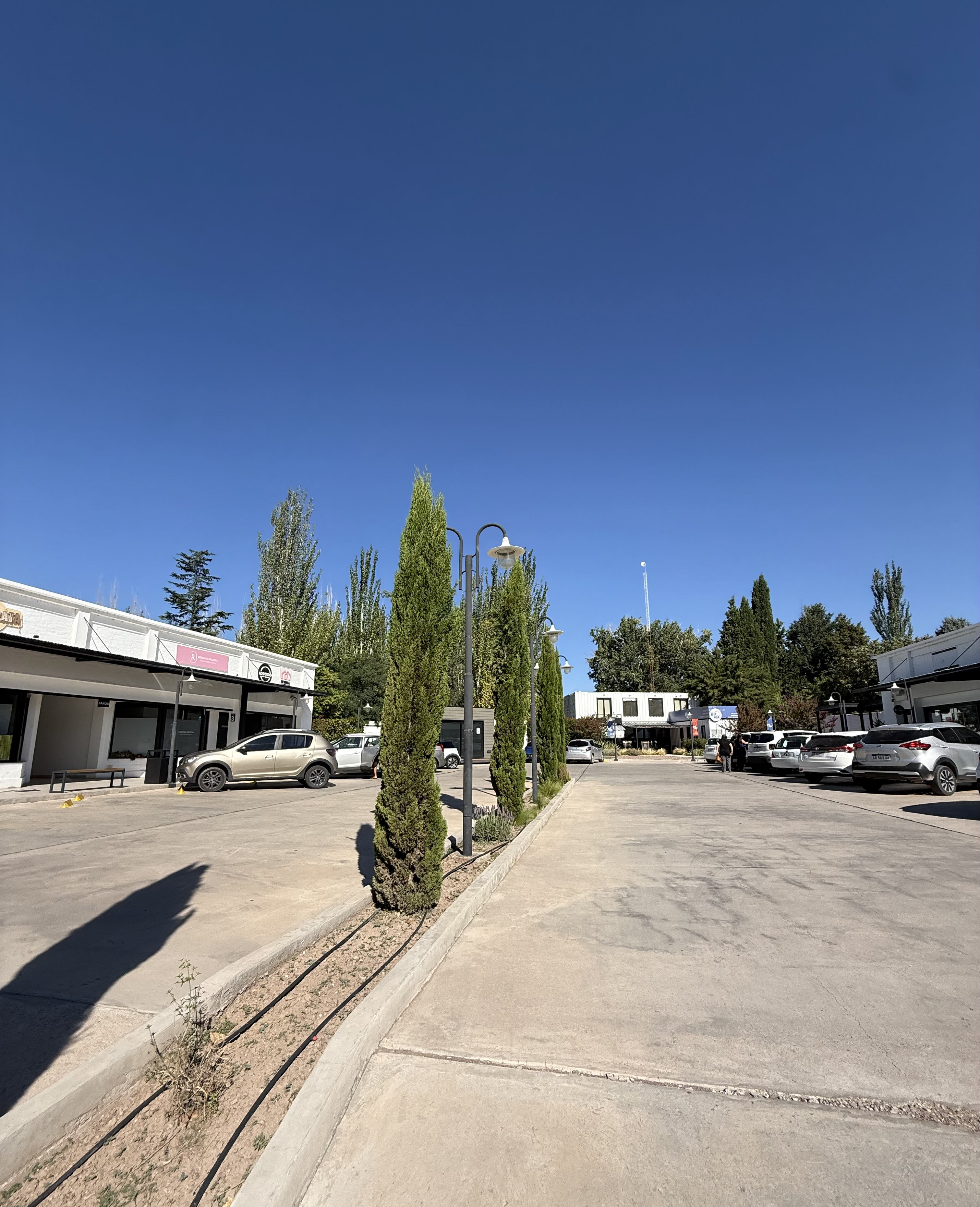 Local Comercial en Alquiler en Lujan de Cuyo, Mendoza