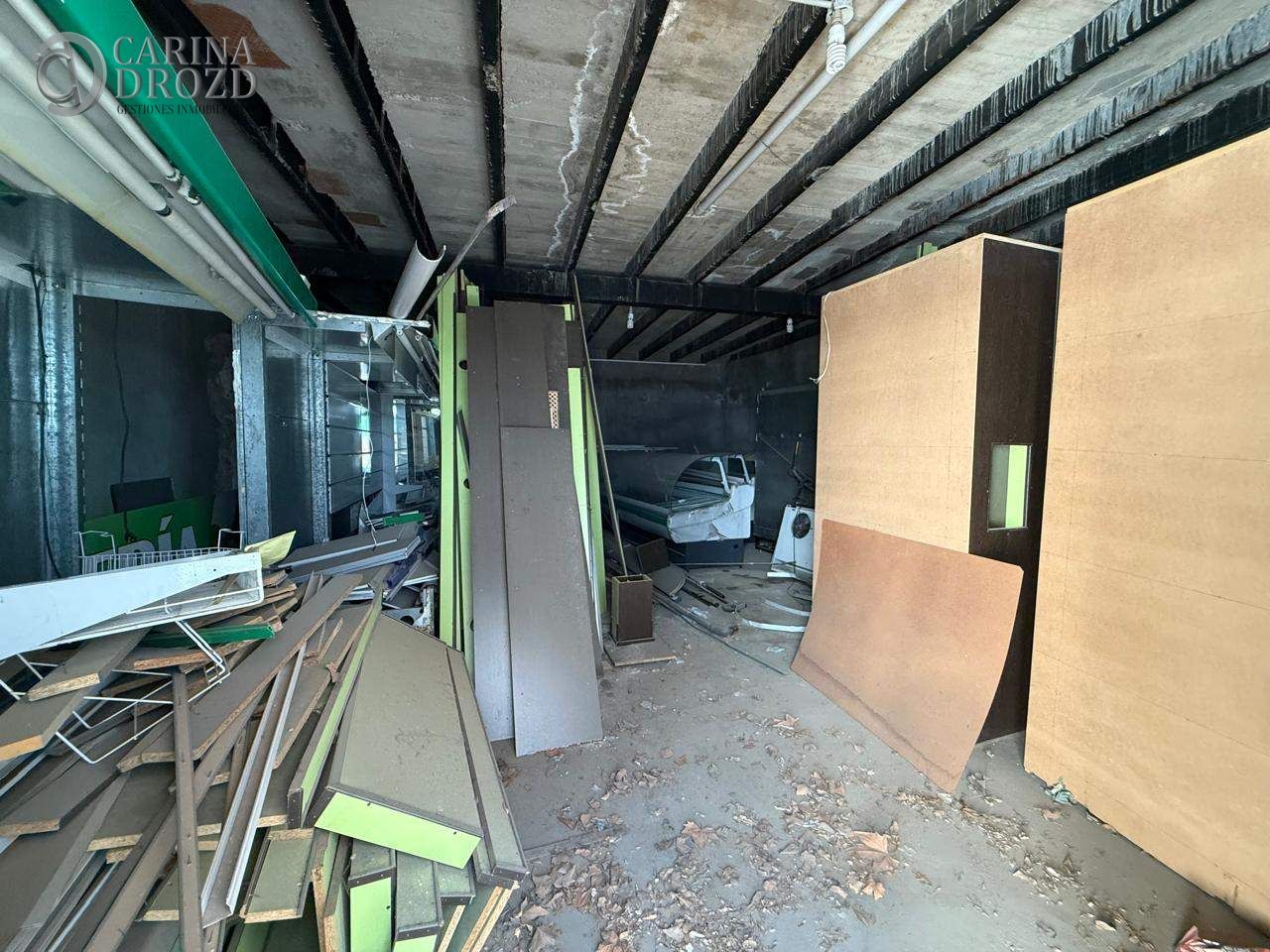 Imagen 13