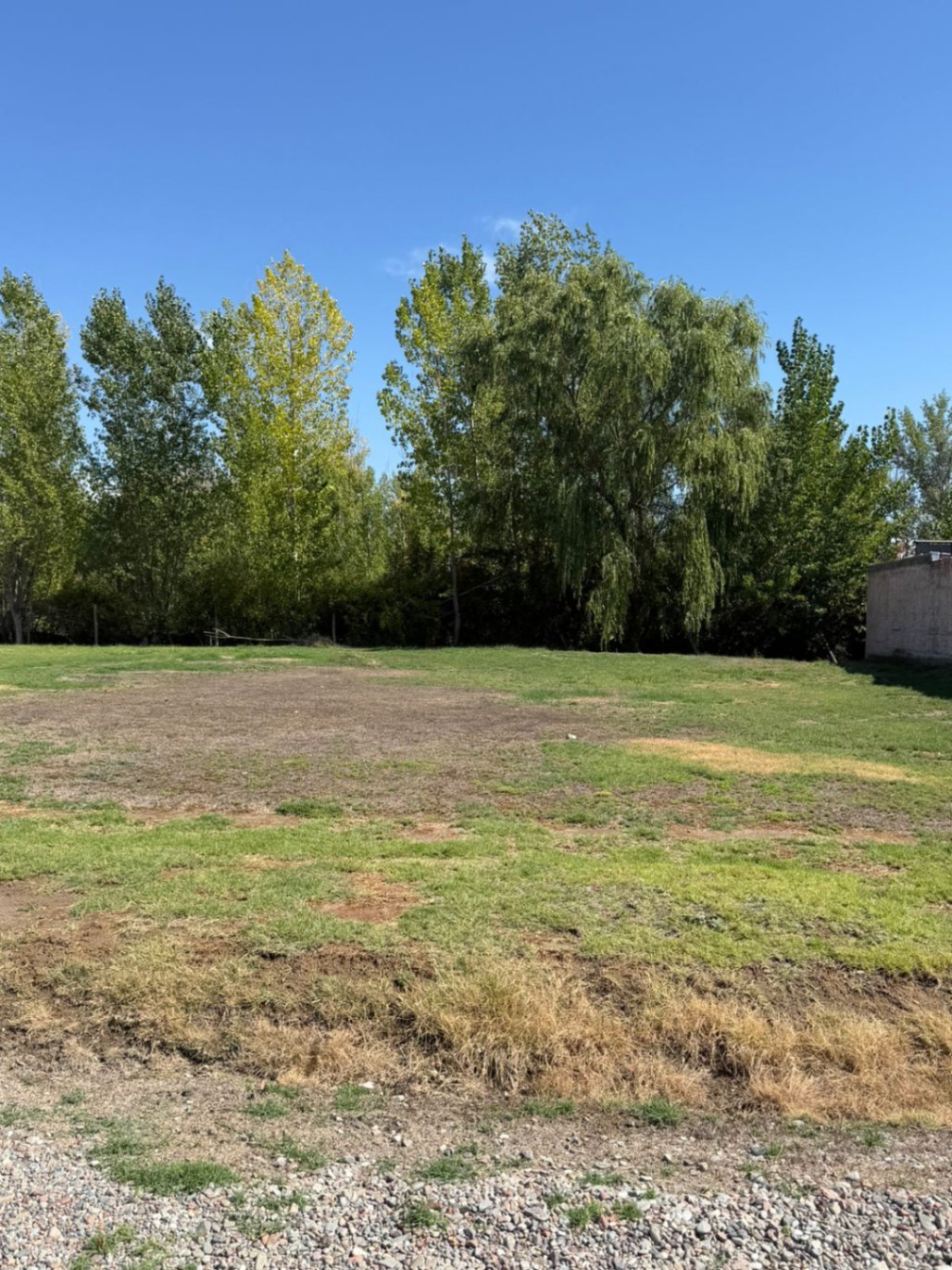 Terreno en Venta en Tunuyan, Mendoza - USD 23.000 | Inmoup - 6