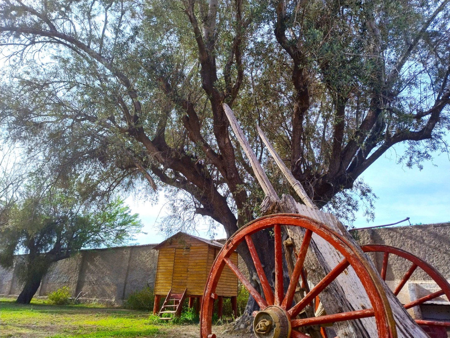 Galpon en Venta en Guaymallen, Mendoza