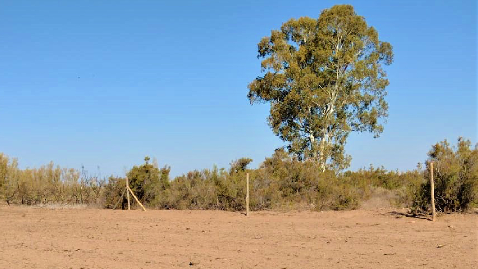 Terreno en Venta en Lavalle, Mendoza
